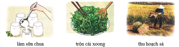 Mặt trời và hạt đậu – Bài 2 – Tiếng Việt lớp 1 (trang 37 → 39) - Chân trời sáng tạo
