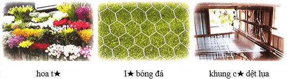 Hồ Gươm – Bài 3 – Tiếng Việt lớp 1 (trang 121 → 123) - Chân trời sáng tạo