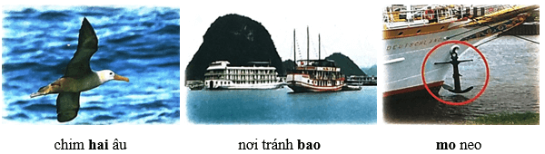 Nữ hoàng của đảo – Bài 3 – Tiếng Việt lớp 1 (trang 130 → 132) - Chân trời sáng tạo