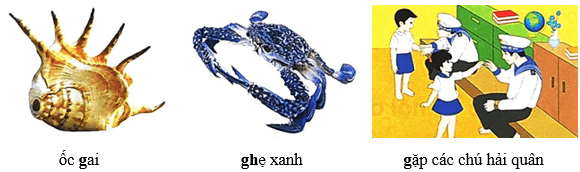 Nữ hoàng của đảo – Bài 3 – Tiếng Việt lớp 1 (trang 130 → 132) - Chân trời sáng tạo