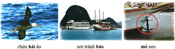 Nữ hoàng của đảo – Bài 3 – Tiếng Việt lớp 1 (trang 130 → 132) - Chân trời sáng tạo