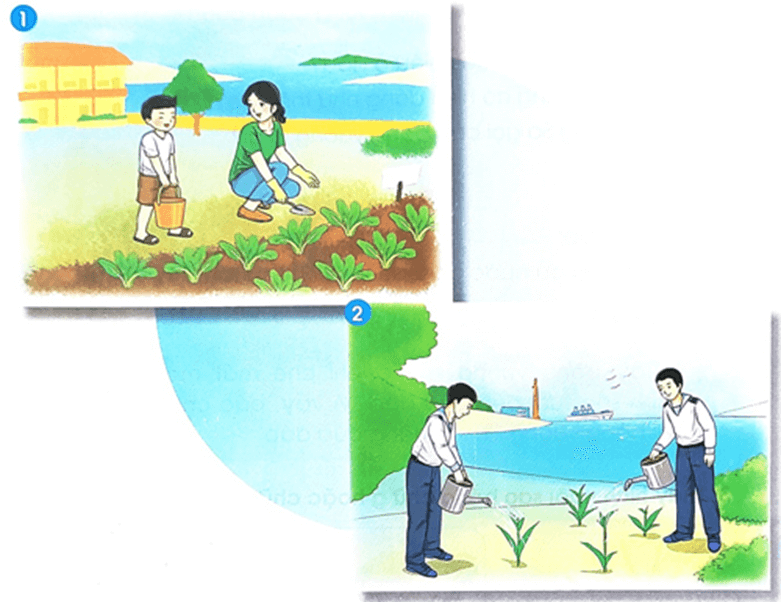 Nữ hoàng của đảo – Bài 3 – Tiếng Việt lớp 1 (trang 130 → 132) - Chân trời sáng tạo