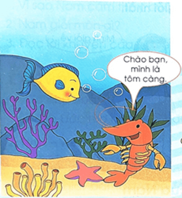 Tôm càng và cá con – Bài 4 – Tiếng Việt lớp 1 (trang 133) - Chân trời sáng tạo