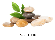 Trắc nghiệm Tiếng Việt lớp 1 Bài 1 (có đáp án): ai, oi | Chân trời sáng tạo
