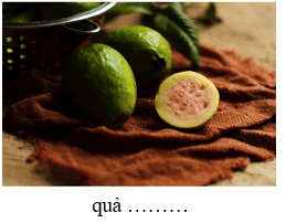 Trắc nghiệm Tiếng Việt lớp 1 Bài 1 (có đáp án): Cô chổi rơm | Chân trời sáng tạo