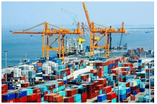 Trắc nghiệm Tiếng Việt lớp 1 Bài 1 (có đáp án): Khu rừng kì lạ dưới đáy biển| Chân trời sáng tạo