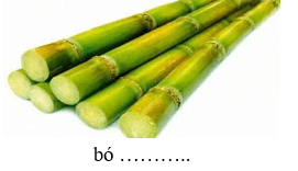 Trắc nghiệm Tiếng Việt lớp 1 Bài 2 (có đáp án): Nói với em | Chân trời sáng tạo