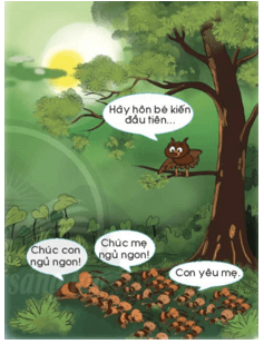 Trắc nghiệm Tiếng Việt lớp 1 Bài 2 (có đáp án): Ôn tập 2| Chân trời sáng tạo