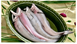 Trắc nghiệm Tiếng Việt lớp 1 Bài 2 (có đáp án): Thư gửi bố ngoài đảo| Chân trời sáng tạo