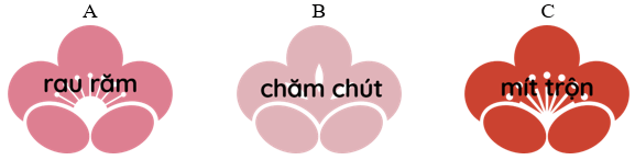 Trắc nghiệm Tiếng Việt lớp 1 Bài  (có đáp án): Mâm cơm ngày Tết ở Huế | Chân trời sáng tạo