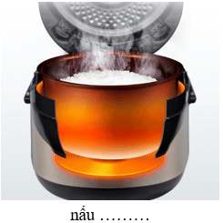 Trắc nghiệm Tiếng Việt lớp 1 Bài 3 (có đáp án): Những trò chơi cùng ông bà | Chân trời sáng tạo