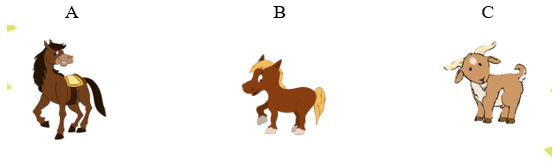 Trắc nghiệm Tiếng Việt lớp 1 Bài 4 (có đáp án): Mong ước của ngựa con| Chân trời sáng tạo