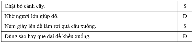 Trắc nghiệm Tiếng Việt lớp 1 Bài 1 (có đáp án): Cậu bé thông minh - Kết nối tri thức