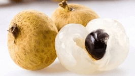 Trắc nghiệm Tiếng Việt lớp 1 Bài 1 (có đáp án): Loài chim của biển cả - Kết nối tri thức