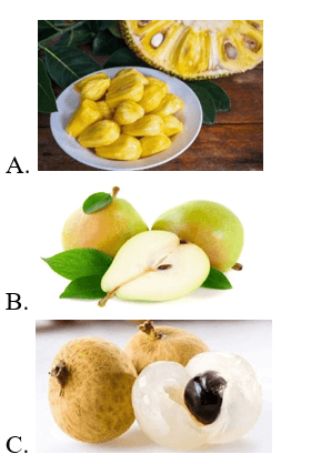 Trắc nghiệm Tiếng Việt lớp 1 Bài 1 (có đáp án): Cậu bé thông minh - Kết nối tri thức