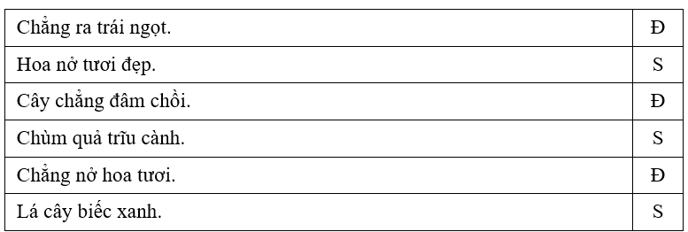 Trắc nghiệm Tiếng Việt lớp 1 Bài 2 (có đáp án): Câu chuyện của rễ | Kết nối tri thức