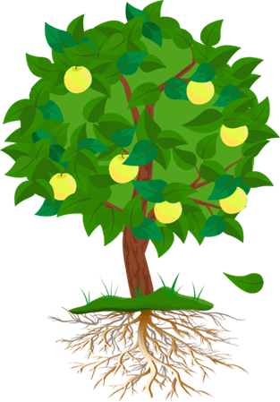 Trắc nghiệm Tiếng Việt lớp 1 Bài 2 (có đáp án): Câu chuyện của rễ | Kết nối tri thức