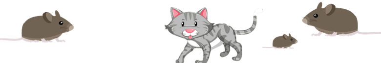 Trắc nghiệm Tiếng Việt lớp 1 Bài 2 (có đáp án): Đôi tai xấu xí - Kết nối tri thức