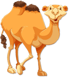 Trắc nghiệm Tiếng Việt lớp 1 Bài 2 (có đáp án): Đôi tai xấu xí - Kết nối tri thức