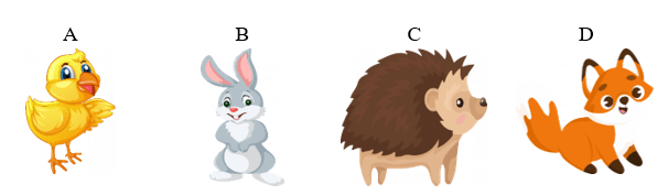 Trắc nghiệm Tiếng Việt lớp 1 Bài 2 (có đáp án): Đôi tai xấu xí - Kết nối tri thức