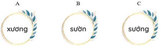 Trắc nghiệm Tiếng Việt lớp 1 Bài 3 (có đáp án): Cả nhà đi chơi núi Cả nhà đi chơi núi | Kết nối tri thức