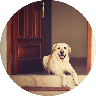 Trắc nghiệm Tiếng Việt lớp 1 Bài 3 (có đáp án): Chúa tể rừng xanh | Kết nối tri thức