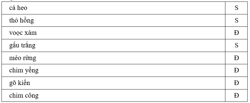 Trắc nghiệm Tiếng Việt lớp 1 Bài 4 (có đáp án): Cuộc thi tài năng rừng xanh | Kết nối tri thức