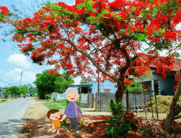 Trắc nghiệm Tiếng Việt lớp 1 Bài 7 (có đáp án): Hoa phượng | Kết nối tri thức