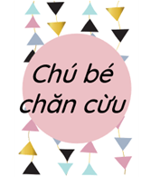 Trắc nghiệm Tiếng Việt lớp 1 Bài 6 (có đáp án): Ôn tập | Kết nối tri thức