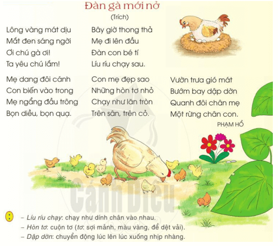 Đàn gà mới nở trang 3 - 4 - 5 Tiếng Việt lớp 2 Tập 2 | Cánh diều