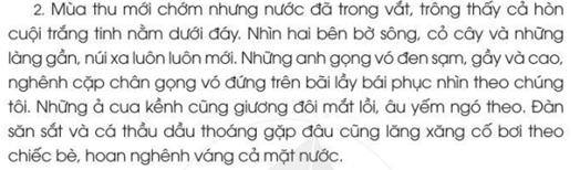 Đánh giá luyện tập và tổng hợp trang 142 - 143 - 144 - 145 Tiếng Việt lớp 2 Tập 1 | Cánh diều