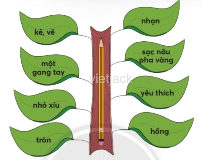 Tiếng Việt lớp 2 Bài 2: Thời khóa biểu trang 117, 118, 119, 120, 121 - Chân trời