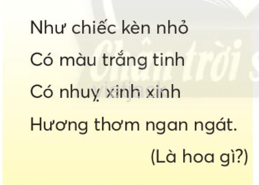 Tiếng Việt lớp 2 Bài 4: Hoa mai vàng trang 53, 54, 55, 56, 57 - Chân trời