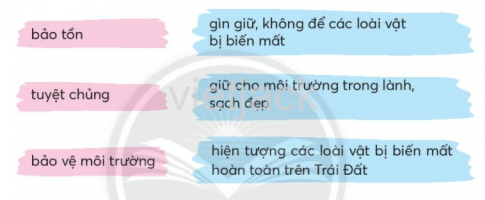 Tiếng Việt lớp 2 Bài 4: Hừng đông mặt biển trang 125, 126, 127, 128, 129 - Chân trời