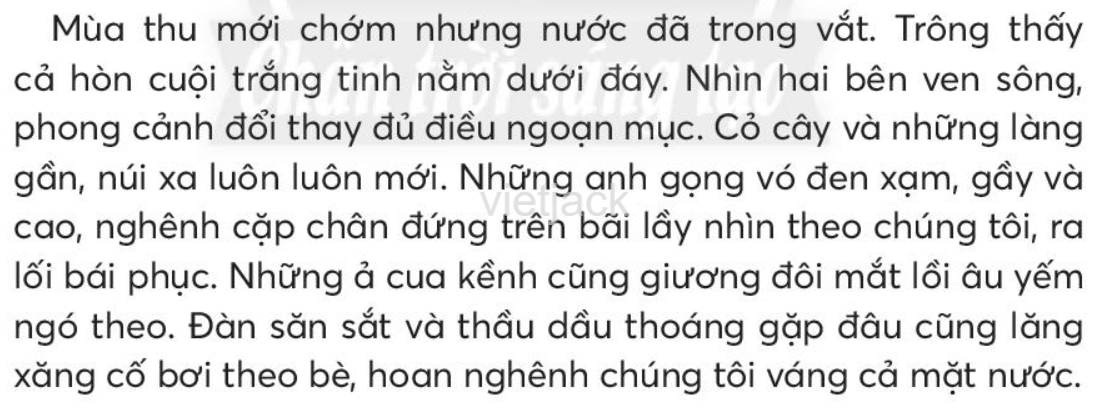 Tiếng Việt lớp 2 Đánh giá cuối học kì 2 trang 143, 144, 145, 146 - Chân trời