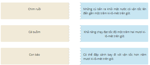 Trắc nghiệm Bạn có biết (có đáp án) | Tiếng Việt lớp 2 Chân trời sáng tạo