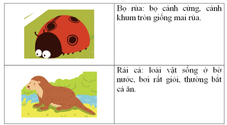 Trắc nghiệm Bọ rùa tìm mẹ (có đáp án) | Tiếng Việt lớp 2 Chân trời sáng tạo