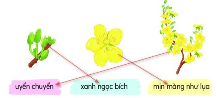 Trắc nghiệm Hoa mai vàng (có đáp án) | Tiếng Việt lớp 2 Chân trời sáng tạo