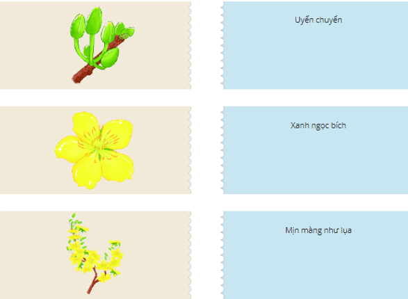 Trắc nghiệm Hoa mai vàng (có đáp án) | Tiếng Việt lớp 2 Chân trời sáng tạo