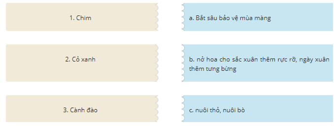 Trắc nghiệm Làm việc thật là vui (có đáp án) | Tiếng Việt lớp 2 Chân trời sáng tạo