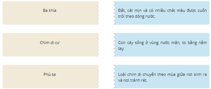 Trắc nghiệm Rừng ngập mặn Cà Mau (có đáp án) | Tiếng Việt lớp 2 Chân trời sáng tạo