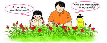 Trắc nghiệm Nghe - nói trang 16, 17 (có đáp án) | Tiếng Việt lớp 2 Chân trời sáng tạo
