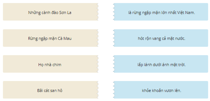 Trắc nghiệm Từ và câu trang 103 (có đáp án) | Tiếng Việt lớp 2 Chân trời sáng tạo