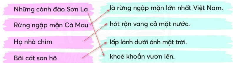 Trắc nghiệm Từ và câu trang 103 (có đáp án) | Tiếng Việt lớp 2 Chân trời sáng tạo