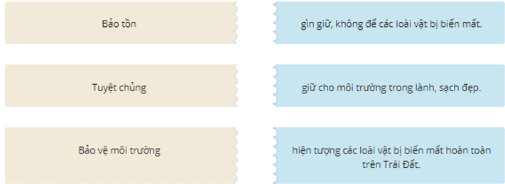 Trắc nghiệm Từ và câu trang 127 (có đáp án) | Tiếng Việt lớp 2 Chân trời sáng tạo