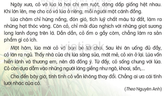 Đánh giá cuối học kì 1 (Đề tham khảo) trang 141, 142