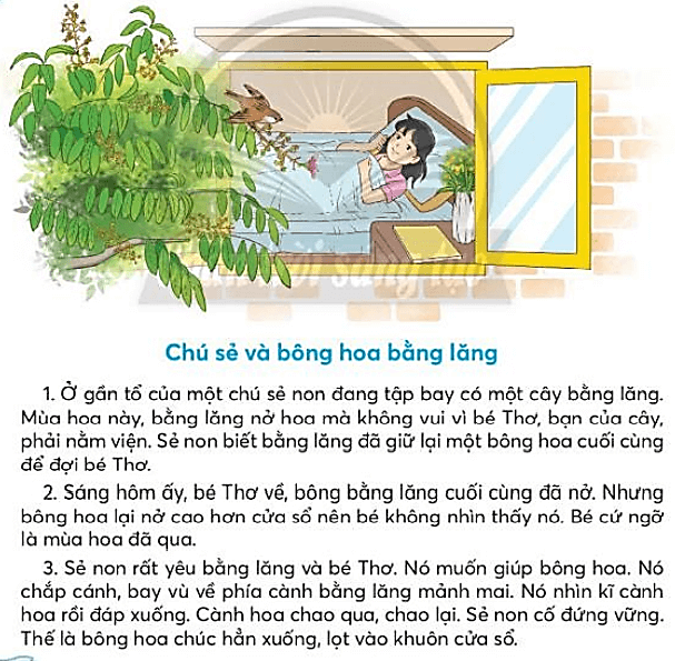 Chú sẻ và bông hoa bằng lăng trang 104, 105 Tiếng Việt lớp 3 Tập 1 | Chân trời sáng tạo