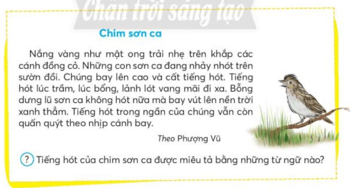 Đánh giá cuối học kì trang 137, 138, 139, 140, 141 Tiếng Việt lớp 3 Tập 1 | Chân trời sáng tạo