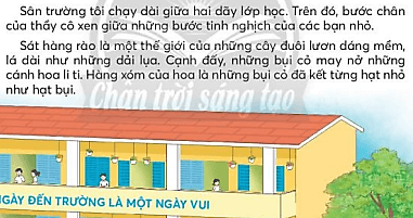 Hoa cỏ sân trường lớp 3 | Tiếng Việt lớp 3 Chân trời sáng tạo