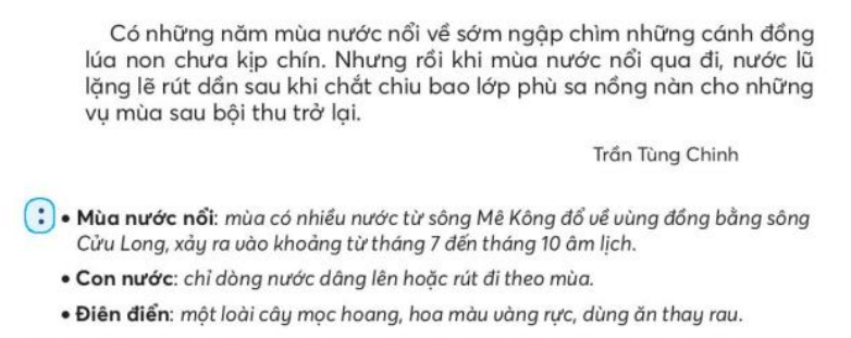 Mênh mông mùa nước nổi trang 102, 103 Tiếng Việt lớp 3 Tập 2 | Chân trời sáng tạo